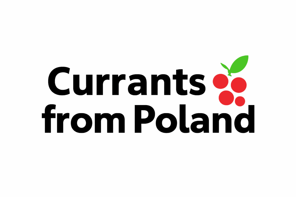 Currants from poland